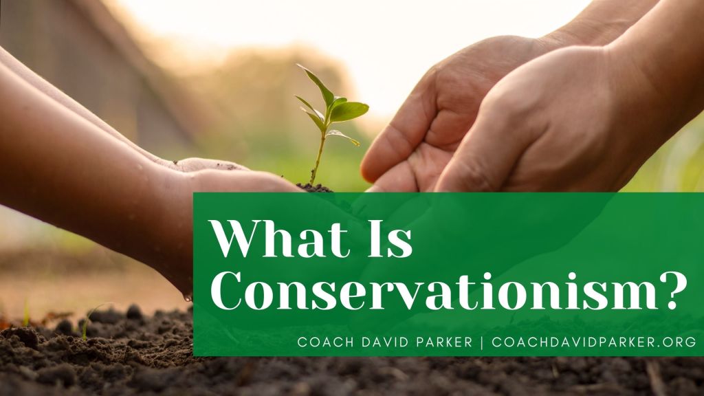 What Is Conservationism?